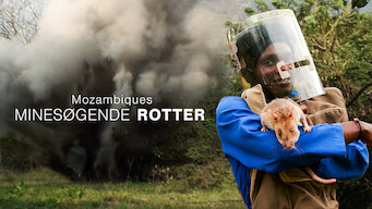 Mozambiques minesøgende rotter (2008)