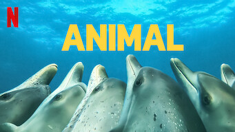 Animal (2022)