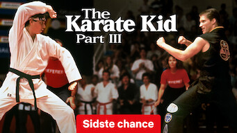 Karate Kid III (1989)