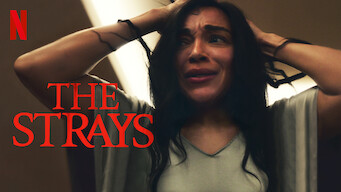 The Strays (2023)