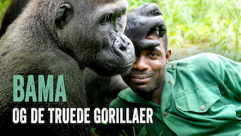 Bama og de truede gorillaer (2011)