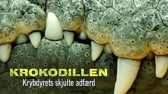 Krokodillen: Krybdyrets skjulte adfærd (2011)