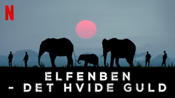 Elfenben – det hvide guld (2016)